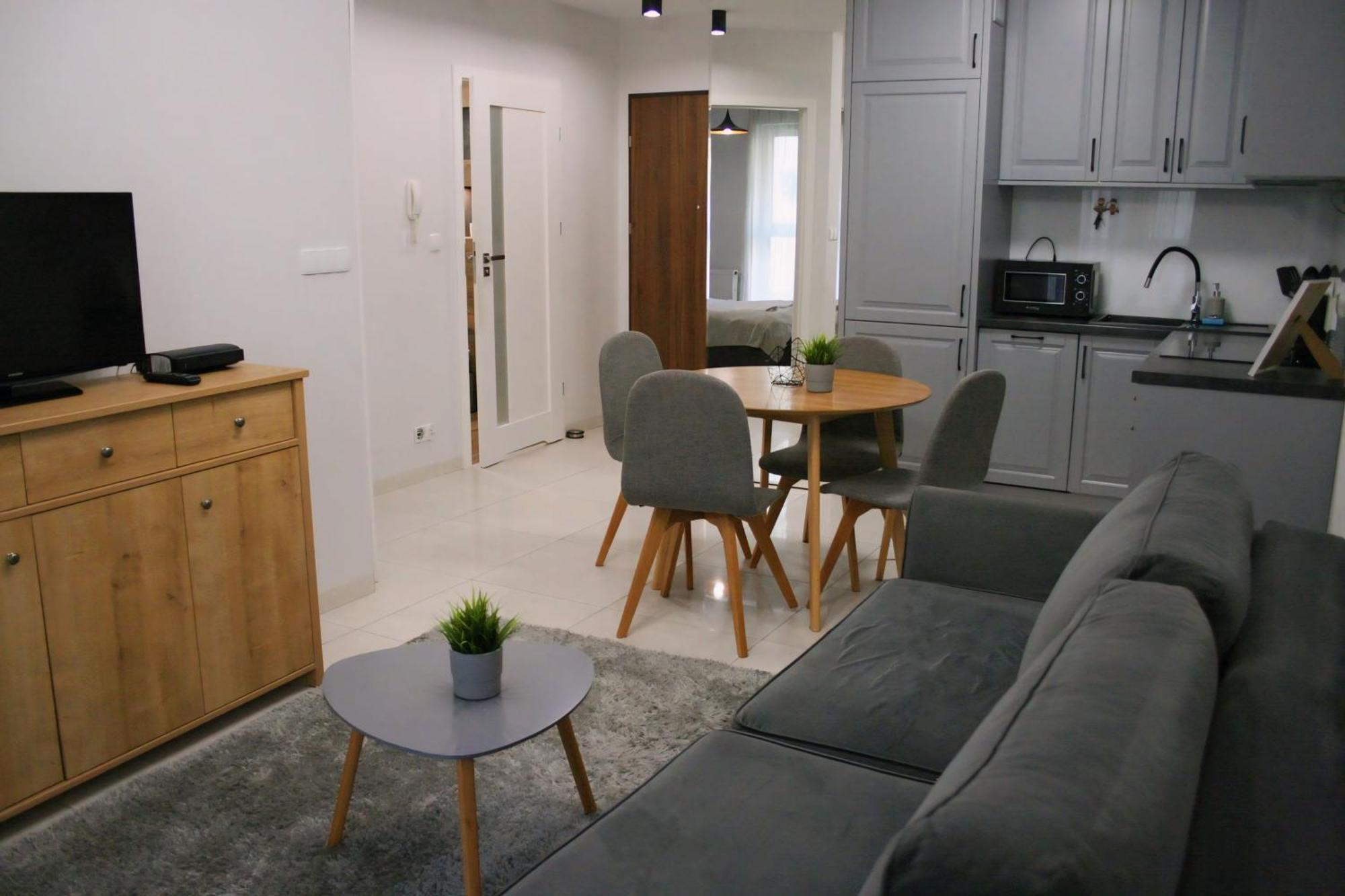 Apartament Argento Torun Exterior photo